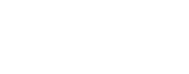 Page Not Found